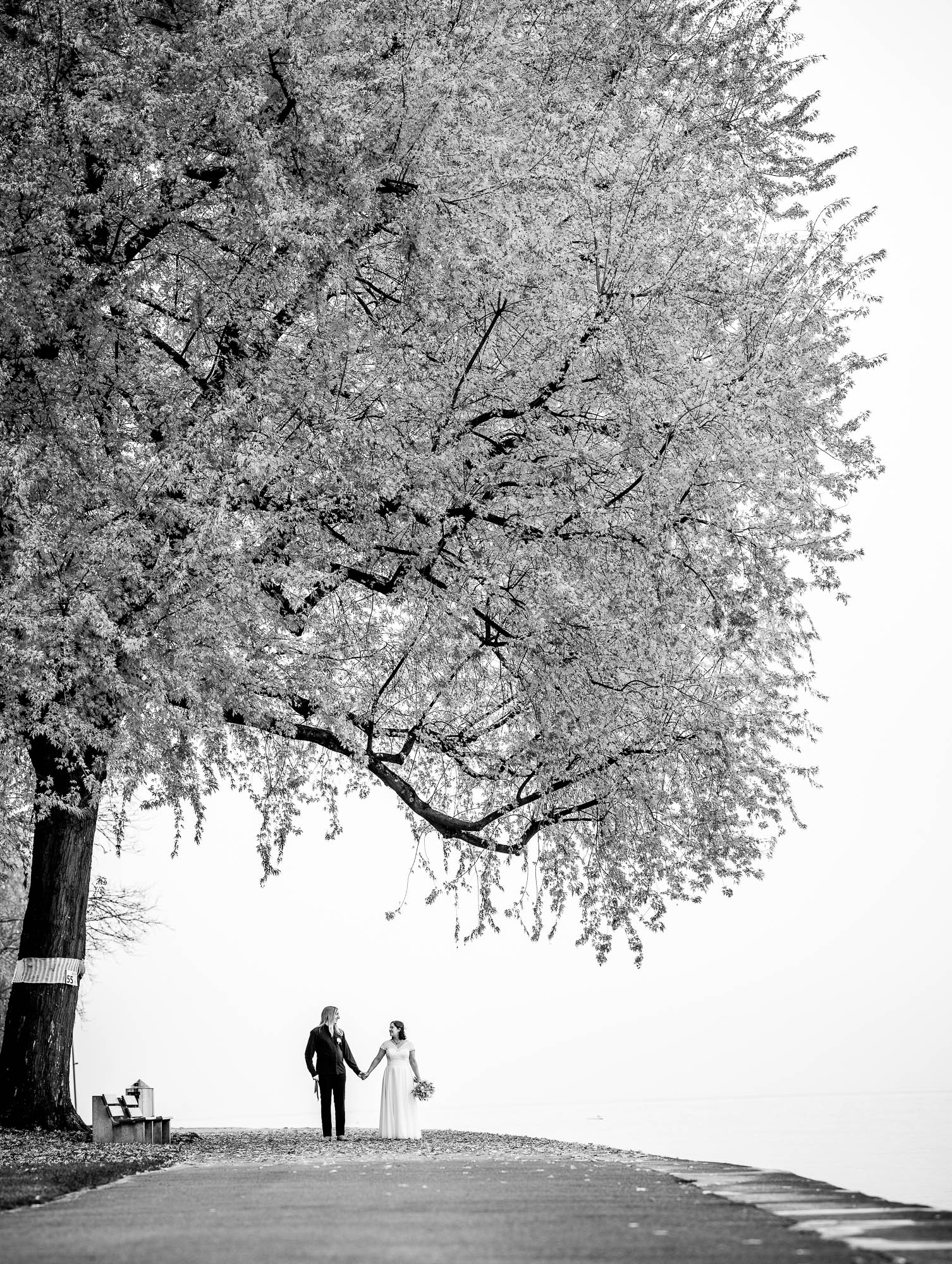 Export x3 1DX29348 Pano Hochzeit 2020 Monika & Sharru 5